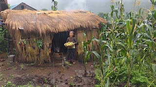 Inside a Traditional Stone House in the Himalayas | Hard Life in a Remote Mountain Village | Part 3