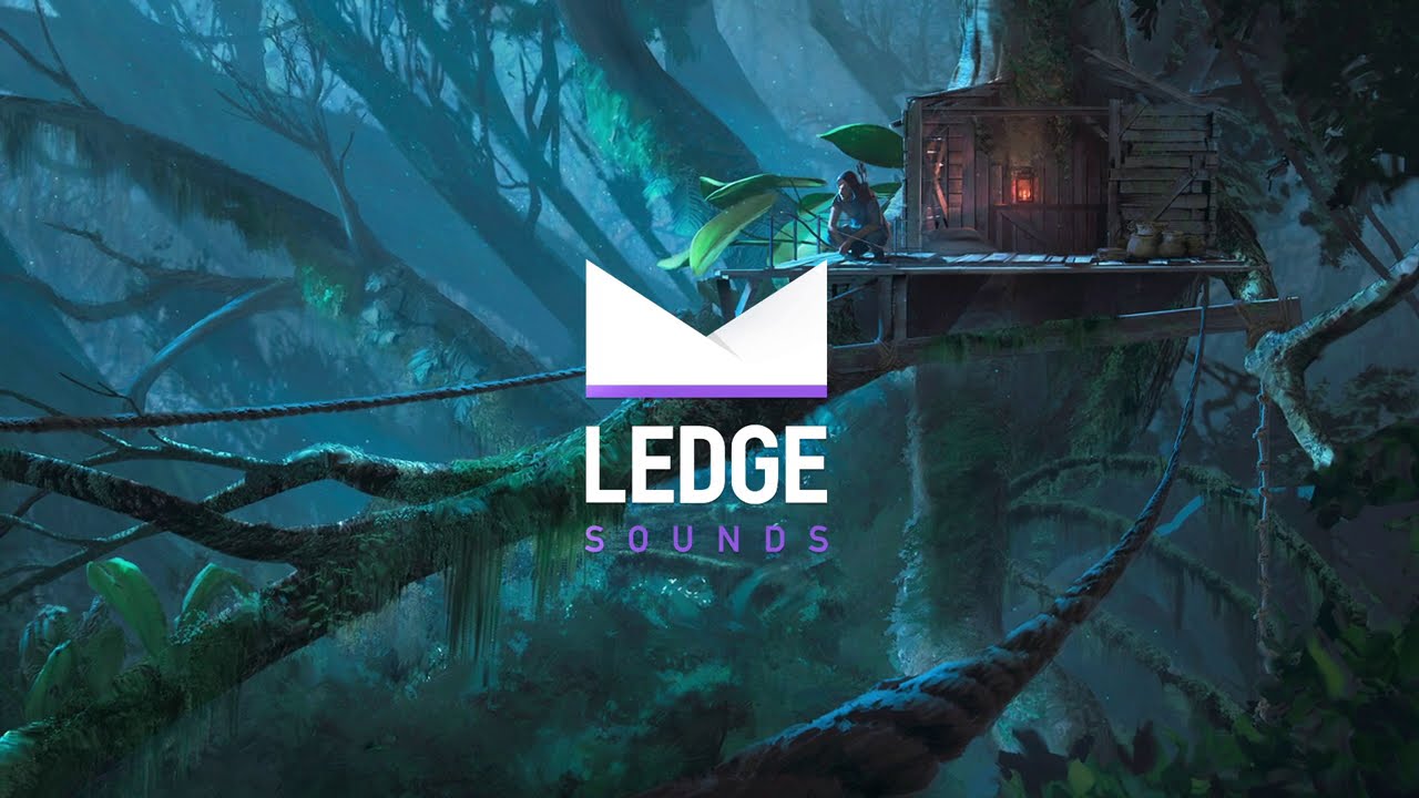 Unknown Artist - Jungle