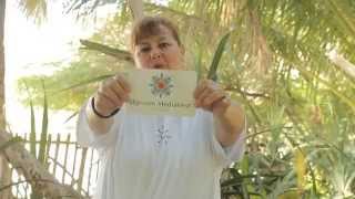 SMG Thank You Video Diane Butler
