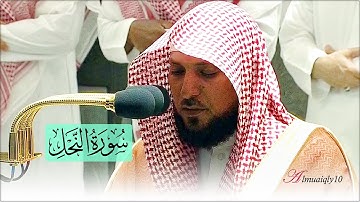 أداء هادئ أسر بديع من الشيخ الغريد د. ماهر المعيقلي لما تيسّر من سورة النحل | عشاء السبت ١٧-٣-١٤٤٣هـ