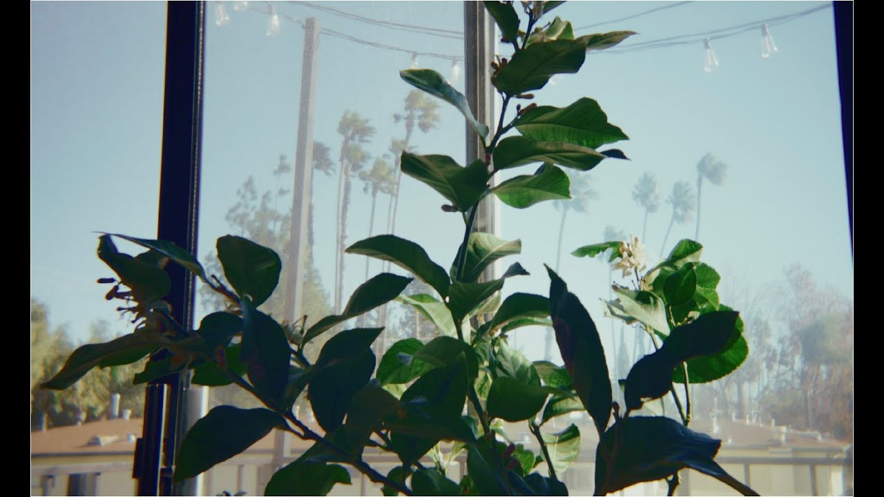 some moments at home