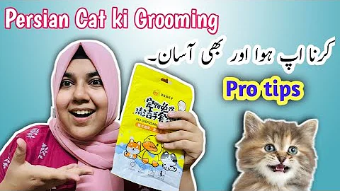 Watch the video about Persian Cat Ki grooming kaise kare || Persian cat grooming at home || How to clean persian cat eyes