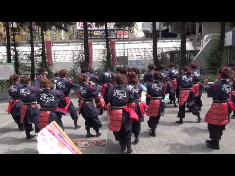 近畿大学よさこい連 洗心　こいや祭り２０１５　京橋駅前広場会場