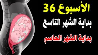 حوامل أكتوبر شهر 10 الأسبوع 36 بداية الشهر الحاسم كونوا على استعداد .