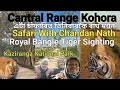 Kaziranga national park  cantral range kohora  safari with chandan nath  tiger sighting