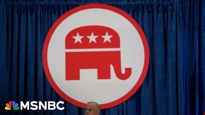 Democrats Should Be Concerned If Rnc Gets Their Business In Order Fmr Bush Aide