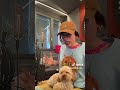 #shorts #gossiperumors #trend #gossip #notizie