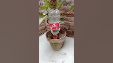 Automatic Self Watering Device Drip Dripper Water Spikes Flower Plant.