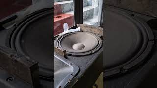 Test d\'Excursion Subwoofer 30cm  Focus sur la Membrane #bass #automobile #basstest