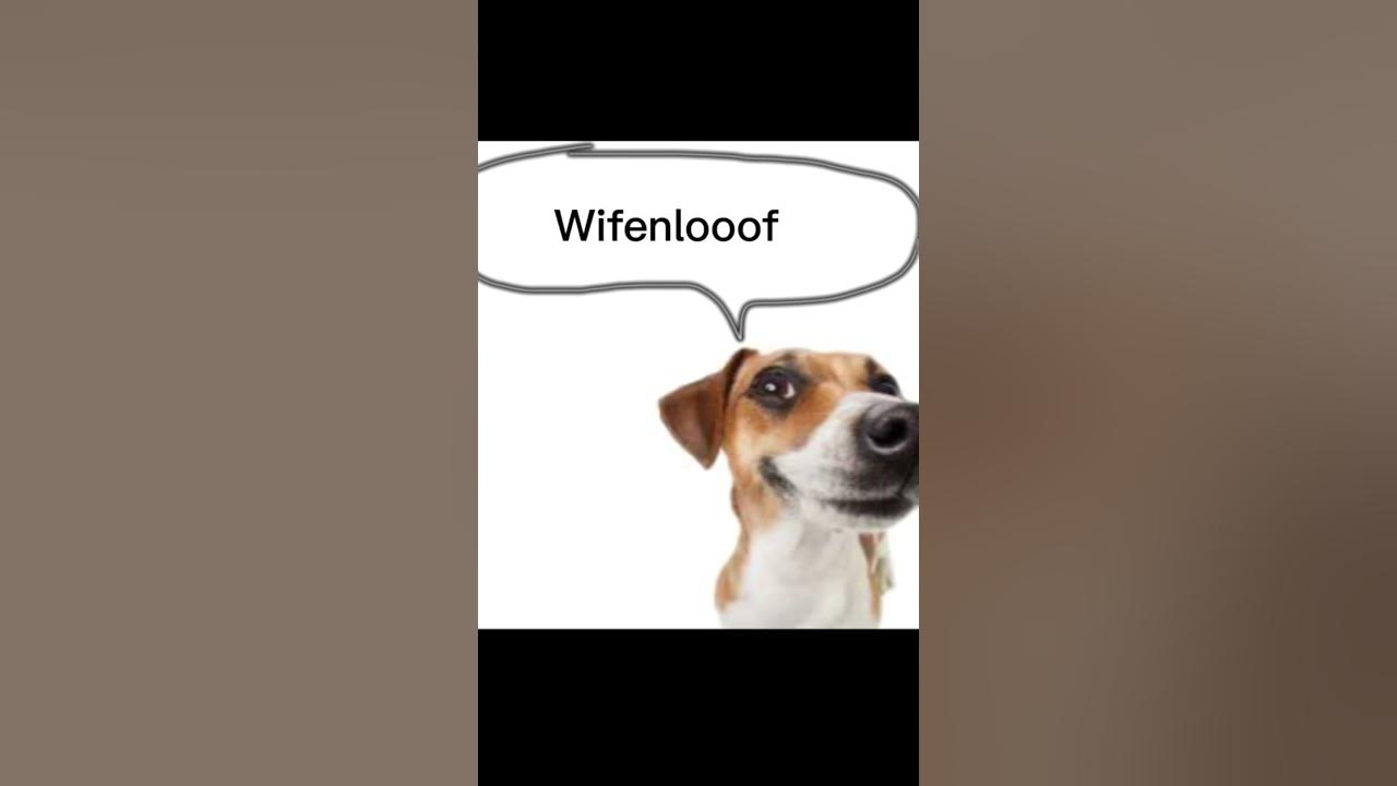 Wenomechainsama low quality dawg