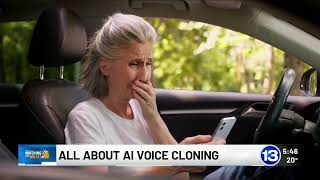 Watching Your Wallet: AI Voice Cloning