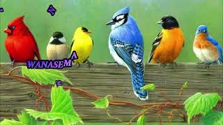 KYENZO VAY - PIN ME IN YOUR HEART - ( MUSIC LYRICS VIDEO)
