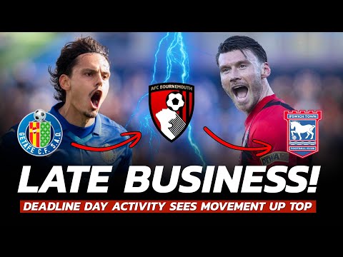 Back of the Net - The AFC Bournemouth Fan Channel 