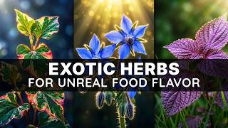 15 Exotic Herbs That Make Your Food Taste Michelin-Level