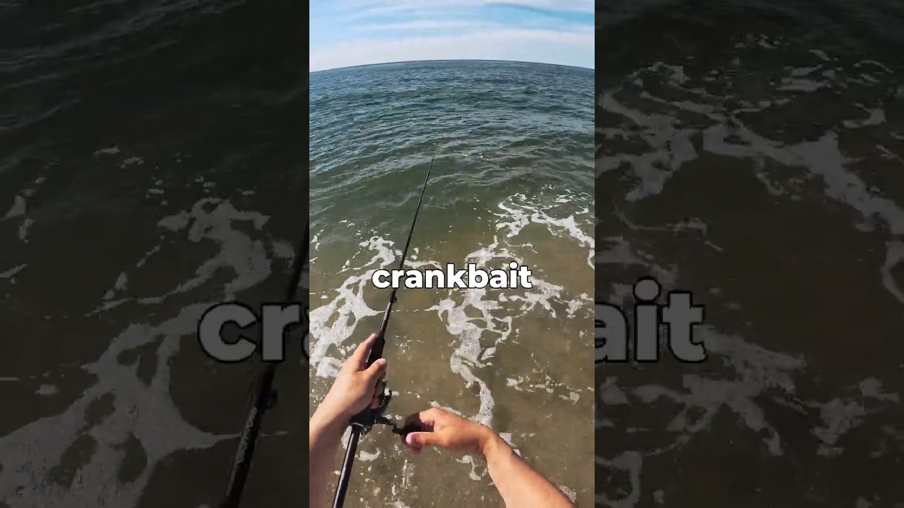 Ловить камбалу на воблер?! 🤯