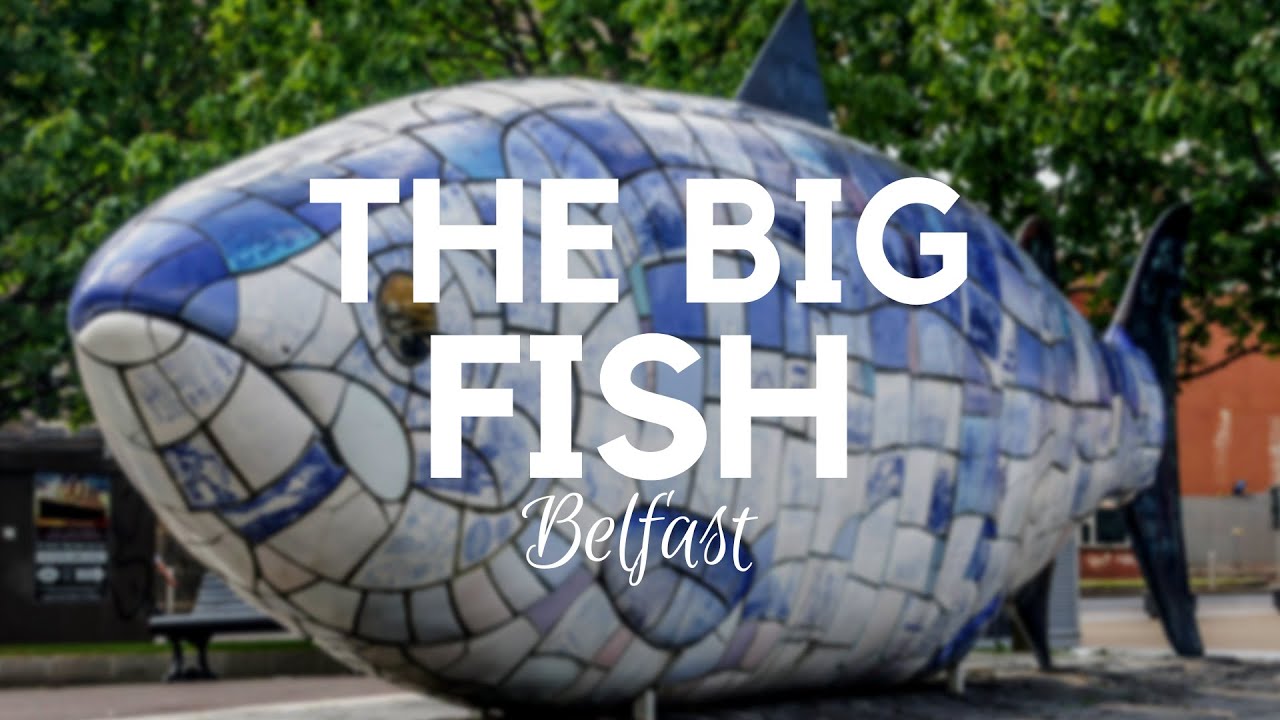 The Big Fish Sculpture in Belfast 360 Degree Video YouTube