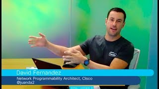 Career advice for programmers