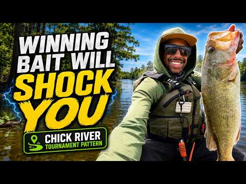 Chickahominy River Bass Fishing: Topwater & Spinnerbait Tournament Pattern
