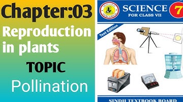 Pollination, Chapter 3 science class 7th in Sindhi.