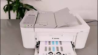 How To Print Head Alignment on Canon Pixma TR4756i Full Guide