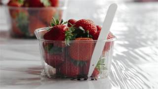 ASF corporate film screenshot 4