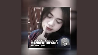Download lagu MANDEK TRESNO (Remix)