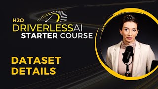 8. Dataset Details / DAI Starter Course