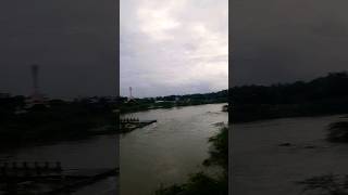 Chennai rainAdayaradayarriver nature rain2023greenandredfeasts shortsvideo