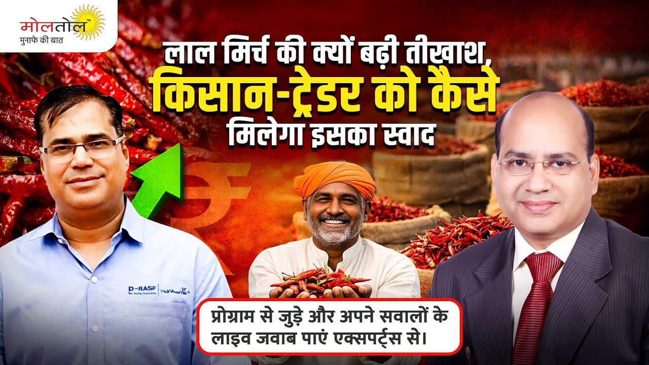 लाल मिर्च की क्‍यों बढ़ी तीखाश, किसान-ट्रेडर को कैसे मिलेगा इसका स्‍वाद