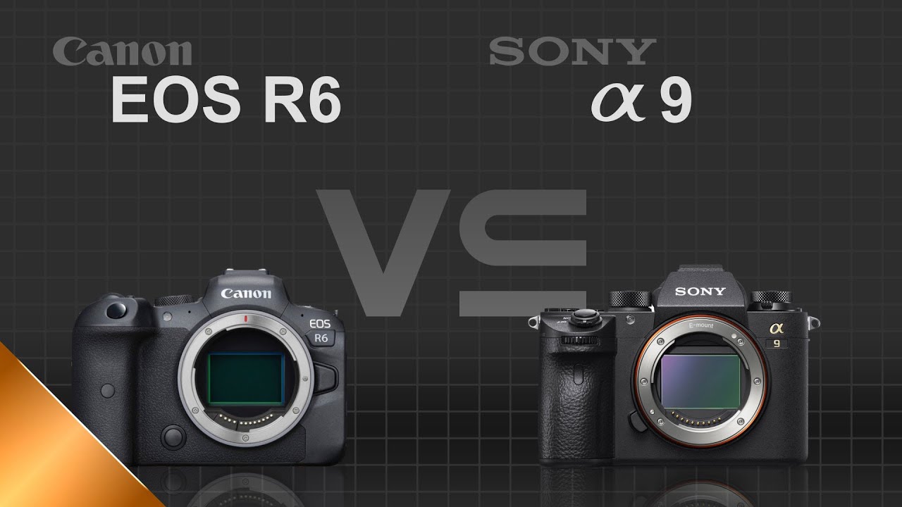 Canon EOS R6 vs Sony alpha a9