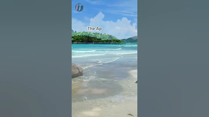 Put Others First | Bible Verse | Philippians 2:4