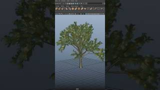 Realistic Tree In Maya: #shorts #tutorial #tips #3d #maya #3dverse Net Worth