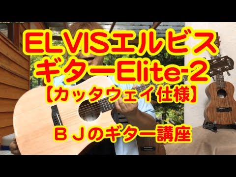 ELVIS（エルビス）アコーステックギター「Elite-2」スプルーストップ