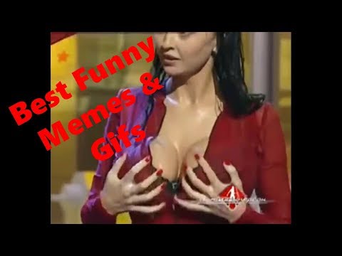 best-memes,-funny-videos-and-gifs-compilation-#4