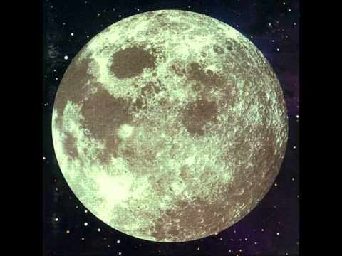 Beaver - Miss Interpreter