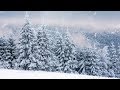 Christmas and Peaceful Instrumental Music, Meditation Music "Star of Wonder" by Tim Janis