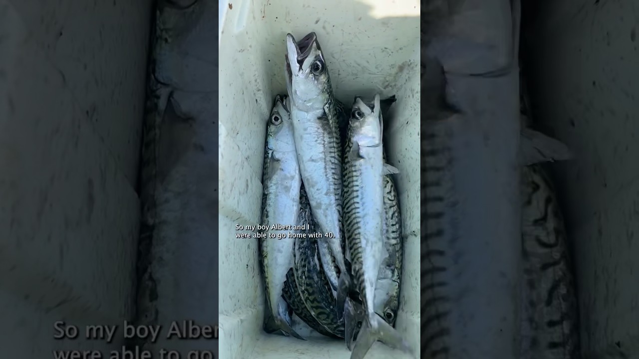 I ate a TRASH Fish (Catch Clean Cook) 