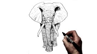 How to Draw an Elephant | Step By Step