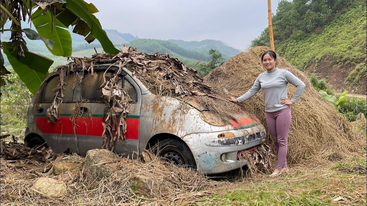 Young woman restores old car abandoned by previous owner for many years under banana tree