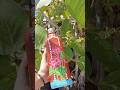 Mud Bottle Art 🎨 ✨️ #art #handmade
