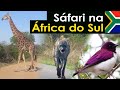 MEU SÁFARI: Observando ANIMAIS SELVAGENS na ÁFRICA DO SUL | Águias, corujas e muitos mamíferos!