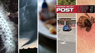 Wild Weather, Venomous Caterpillars + Measles Exposure Top 2018's Hudson Valley News
