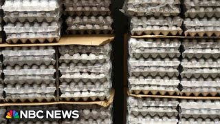 99,000 ducks to be euthanized after bird flu outbreak at New York farm