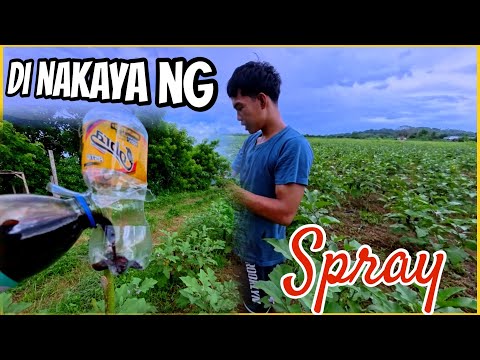 NAPAPALIGIRAN NG MGA MAPANIRA DI NA KINAKAYA NG GAMOT