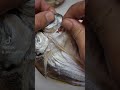 #рыбалка #ставридка #море
