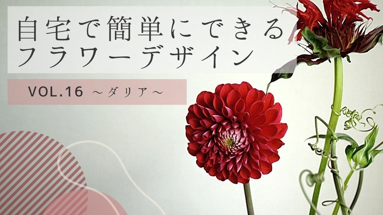 自宅で簡単に楽しめるフラワーデザインvol 16 ダリア編 Youtube