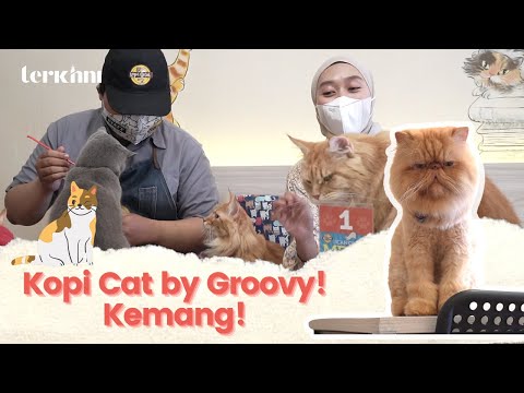 Gato Indonesio Cafe
