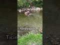 #fun #viral