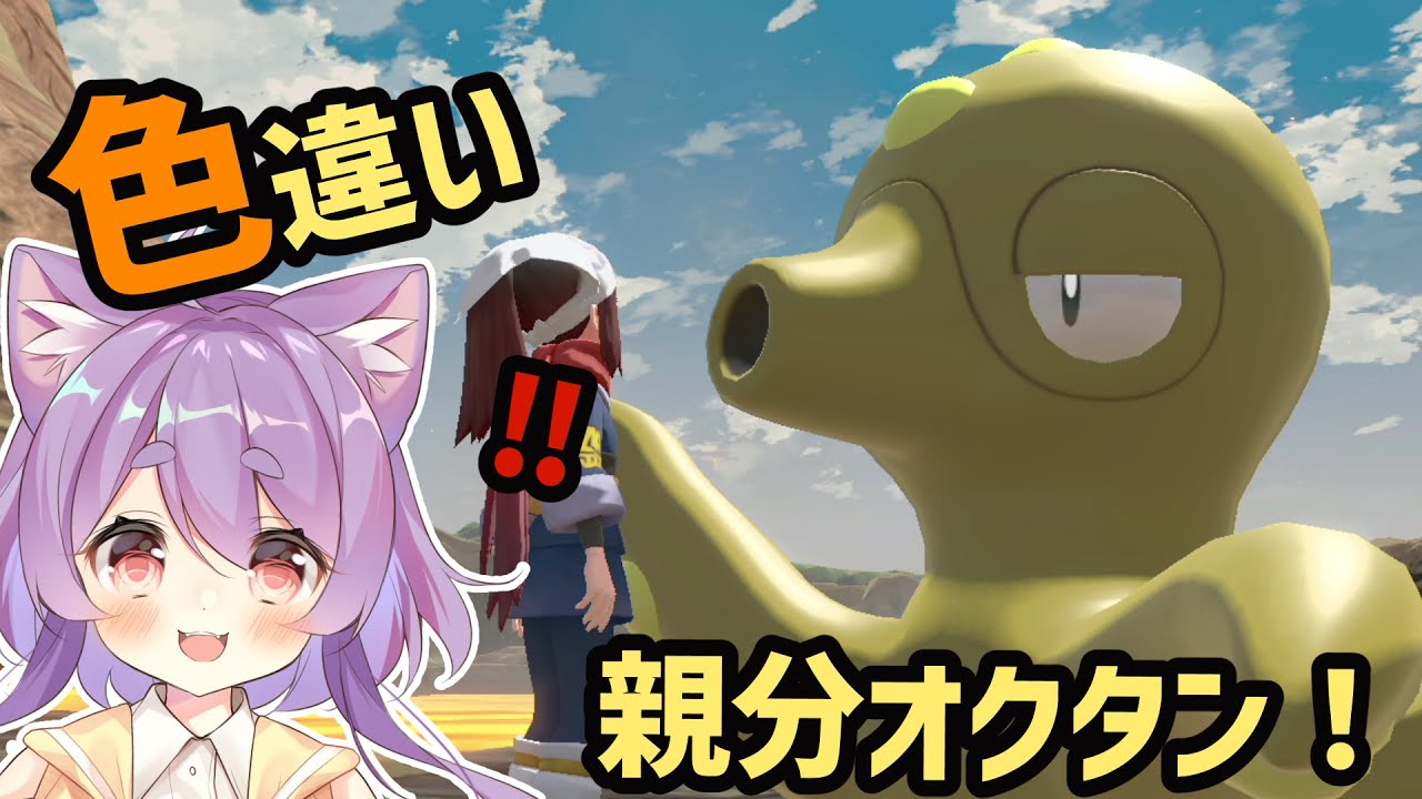 親分色違いオクタンと出会う 猫之宮みー太郎 切り抜き Pokemon Legends アルセウス Youtube