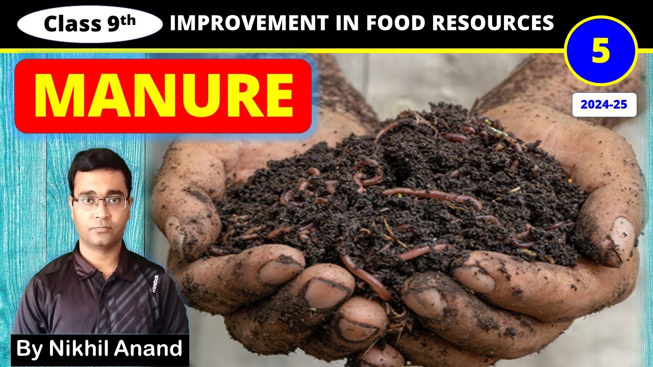 C12P5 Manure Compost Vermi Compost Green Manure Improvement